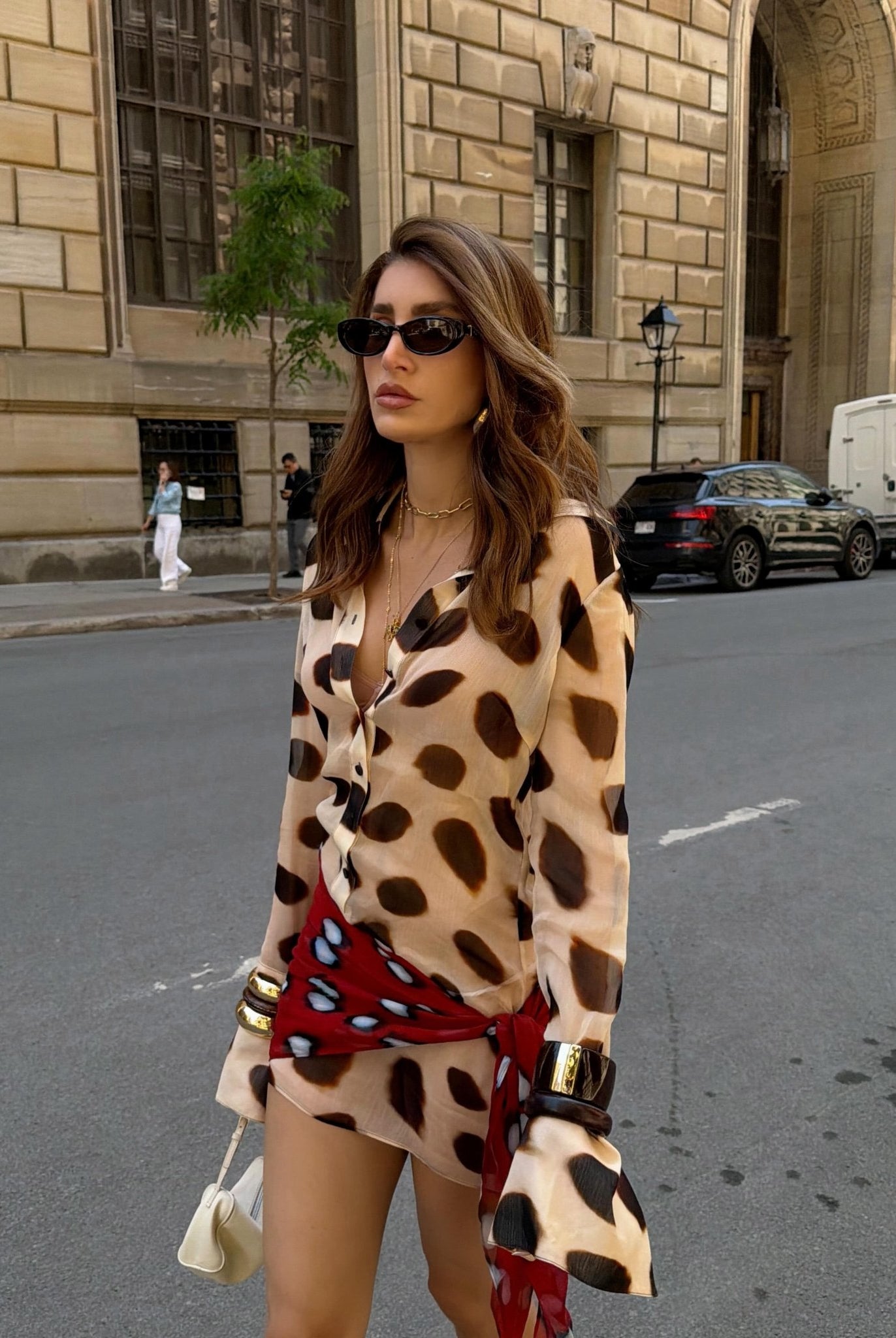 SOERA Margot Animal Print Shirt Dress - Dress - SOERA-154243-L-OS-79555 L